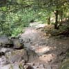 vignette 4 - ...
