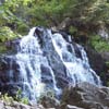 vignette 5 - ...