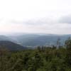 vignette 1 - ...
