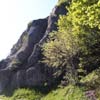 vignette 8 - ...