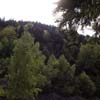 vignette Col du Bussang