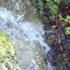 vignette 3 - ...
