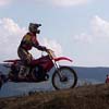 vignette 15 - ...