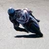 vignette 16 - Carlos Checa
